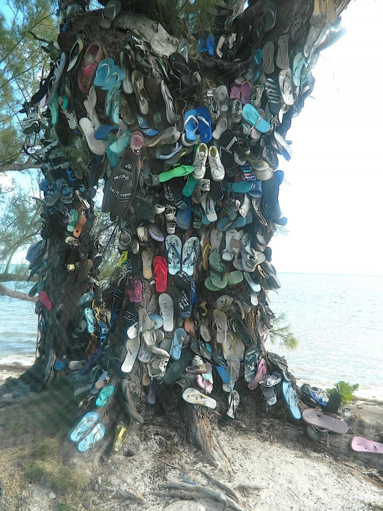 L'albero delle ciabatte
